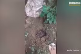 Thiên thạch rơi trúng nhà, thanh niên bán được gần 2 triệu USD