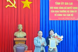 Đồng chí Phạm Thị Tố Hải giữ chức Bí thư Đảng ủy Khối các Cơ quan và Doanh nghiệp tỉnh Gia Lai