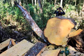 Chúng ta đã phải trả giá!