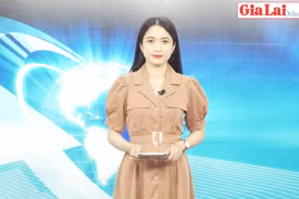 Gia Lai 48h: Khôi phục sản xuất nông nghiệp sau bão