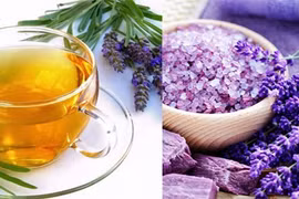 5 loại trà giúp bạn có giấc ngủ ngon mỗi tối