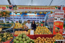 Hội chợ cam Cao Phong: Đặc sản, của ngon vật lạ miền núi hút khách
