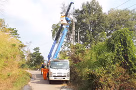 Điện lực Đức Cơ góp phần phát triển kinh tế vùng biên