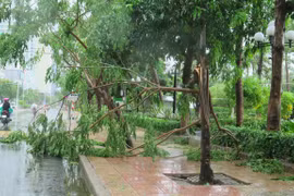 Bão số 12 khiến 2 người tử vong, nhiều thiệt hại tại các địa phương