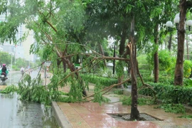 Bão số 12 khiến 2 người tử vong, nhiều thiệt hại tại các địa phương