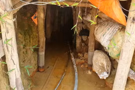 "Đột nhập" lãnh địa khai thác vàng trên rừng phòng hộ ở Đắk Nông