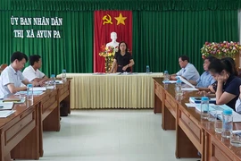 Thường trực HĐND tỉnh Gia Lai giám sát công tác bầu cử tại Ayun Pa