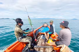 Săn cá đại dương