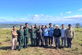 Trở lại Plei Ring