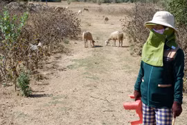 Đời du mục trên thảo nguyên (bài 2): Xuyên qua vùng hạn, nắng cháy da người