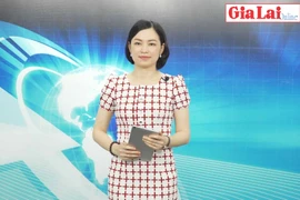 Gia Lai 48h: Cần nâng cao ý thức trách nhiệm của người đứng đầu cơ quan, đơn vị