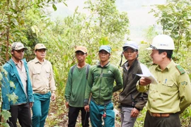 Người Bahnar ở Kon Pne "sống khỏe" nhờ nhận khoán quản lý, bảo vệ rừng