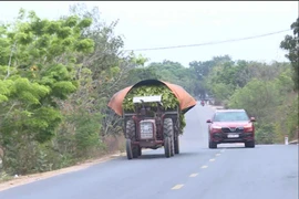 Krông Pa: Xe công nông vẫn lưu thông trên quốc lộ 25