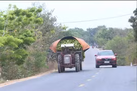 Krông Pa: Xe công nông vẫn lưu thông trên quốc lộ 25