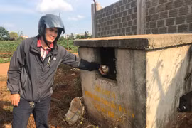 Chư Prông quyết liệt xử lý vi phạm trong lĩnh vực môi trường