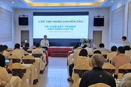 Gia Lai: Tập huấn chuyên sâu về cam kết trong Hiệp định EVFTA