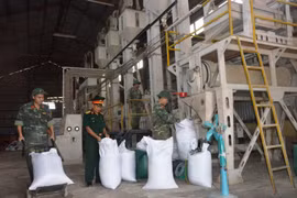 Quân đoàn 3 chủ động nguồn lương thực, thực phẩm