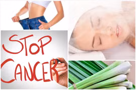 Lợi ích của cây sả khiến nhiều người bất ngờ