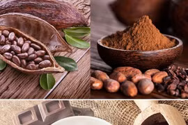 Bất ngờ với những lợi ích tuyệt vời của cacao đối với sức khỏe