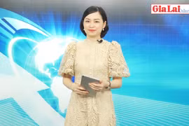 Gia Lai 48h: Ủy ban nhân dân tỉnh chỉ đạo làm rõ vấn đề Báo Gia Lai điện tử phản ánh