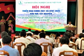 Tập đoàn Công nghiệp Cao su Việt Nam triển khai kế hoạch nông nghiệp năm 2021