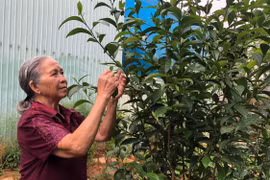 Đội quân tóc dài: Chuyện người trong cuộc