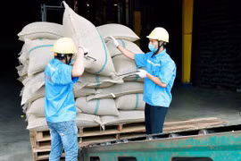 Gia Lai: Kỳ vọng xuất khẩu tăng trưởng cao