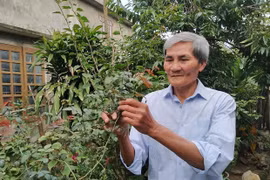 Gặp lại tài xế "xe không kính"