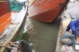 Những phận đời mưu sinh nơi cửa biển