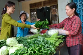 "Nói không với rau 2 luống, heo 2 chuồng"