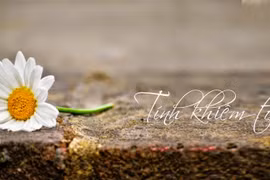 Dạy con đức tính khiêm tốn