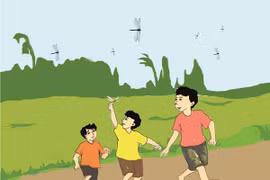 Trong veo những cánh chuồn