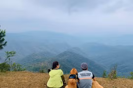 Chia sẻ của chàng trai bỏ phố về rừng khởi nghiệp