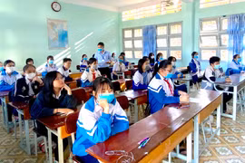 Gia Lai: 349 thí sinh đạt giải học sinh giỏi lớp 9 cấp tỉnh