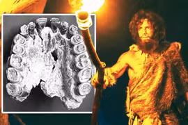 Phát hiện khảo cổ "bàn tay thứ 3" giải đáp thắc mắc trăm năm của nhân loại