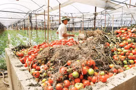 Chuyện môi trường với người nông dân