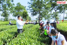 Rèn kỹ năng cho học sinh từ trải nghiệm thực tế