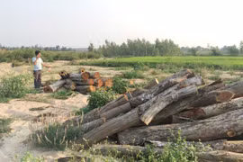 Ủy ban nhân dân tỉnh chỉ đạo làm rõ vấn đề Báo Gia Lai điện tử phản ánh