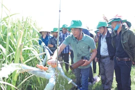 Công ty Thành Thành Công Gia Lai hướng tới mục tiêu phát triển bền vững