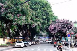 "Chiếc áo xanh" cho Phố núi