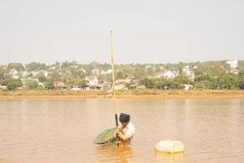 Săn hến giữa lòng phố núi