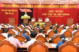 Khai mạc Hội nghị lần thứ 3 Ban Chấp hành Đảng bộ tỉnh Gia Lai khóa XVI