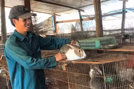 Nguyễn Công Nhị: Tay trắng trở thành chủ trang trại