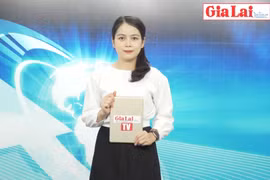 Gia Lai 48h: Bắt giữ sà lan chở xe tải chứa đầy gỗ trên lòng hồ thủy điện