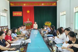 Thường trực HĐND tỉnh Gia Lai giám sát công tác bầu cử tại Pleiku