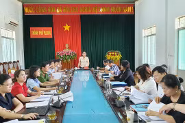 Thường trực HĐND tỉnh Gia Lai giám sát công tác bầu cử tại Pleiku