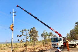 Công ty Điện lực Gia Lai khẩn trương hoàn thành các công trình điện trước mùa mưa