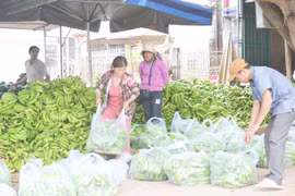 Mang Yang: Đa dạng cây trồng để thích ứng với khô hạn