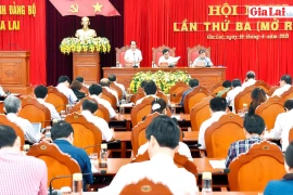 Hội nghị lần thứ 3 Ban Chấp hành Đảng bộ tỉnh Gia Lai khóa XVI