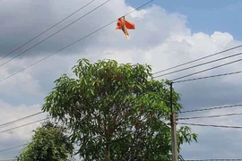 Không nên thả diều gần công trình lưới điện
